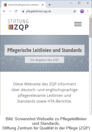 Screenshot ZQP Webseite zu Leitlinien